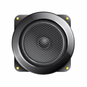 Bluetooth BT Speaker